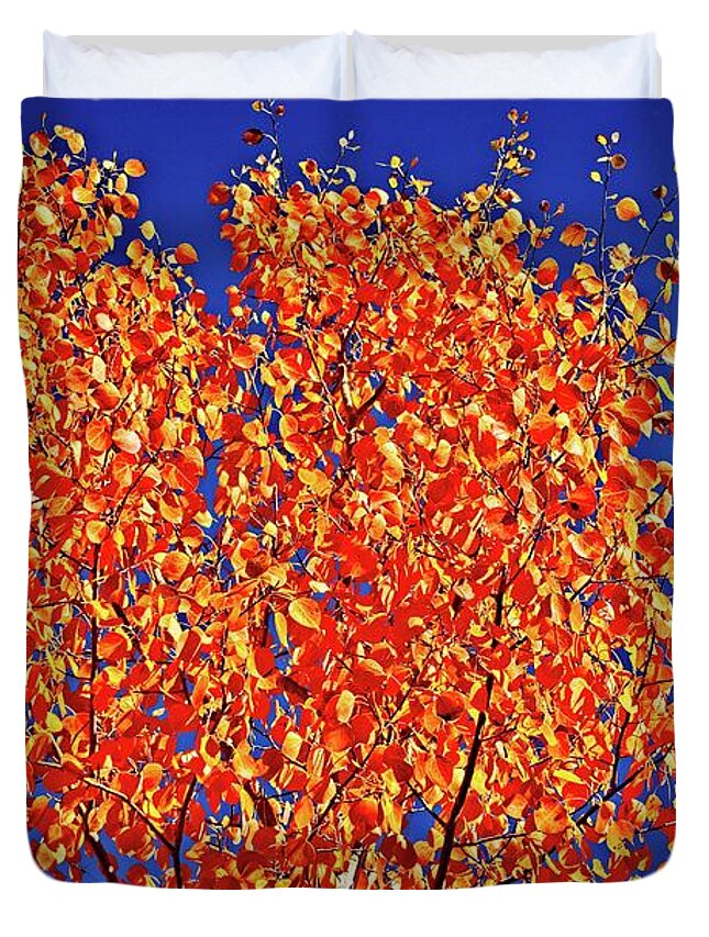 Orange Duvet Cover featuring the photograph Leaves Of Orange by David Desautel