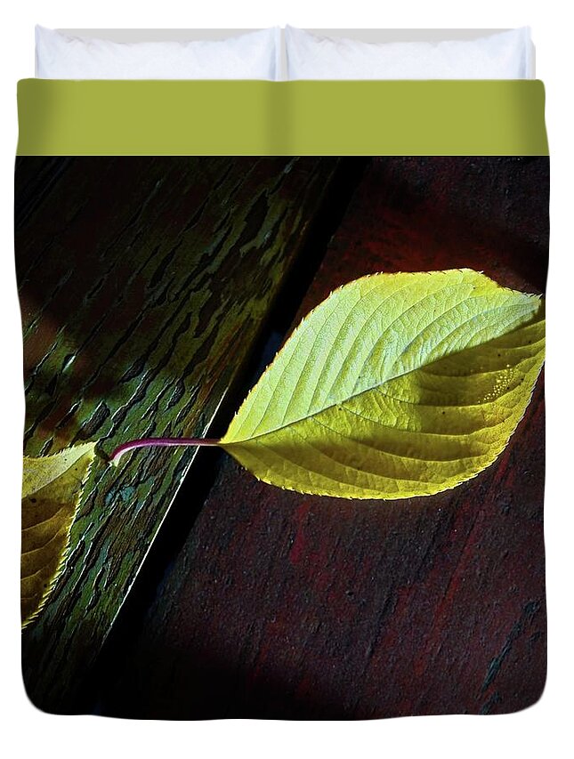 Leaf Duvet Cover featuring the photograph Leaves on Table by John Hansen