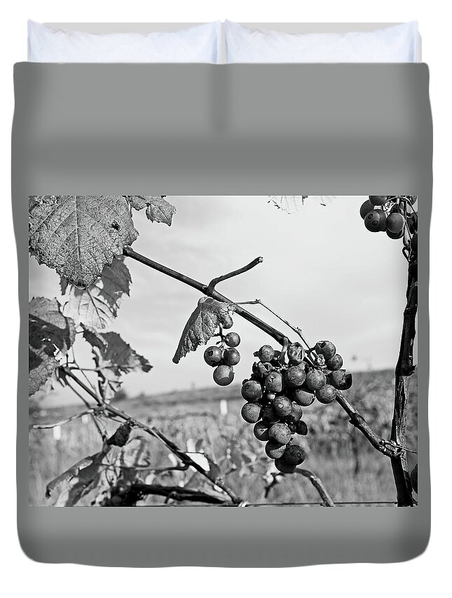 Fruit Duvet Cover featuring the photograph Left Behind by Lens Art Photography By Larry Trager