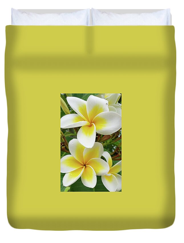 Flowers Duvet Cover featuring the photograph Lemon Meringue by Tony Spencer