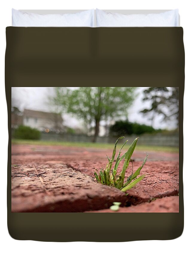 Grass Duvet Cover featuring the photograph Let Me Out by Lee Darnell