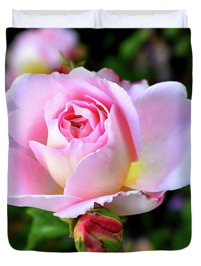 Nature Duvet Cover featuring the photograph Let me take you to Fields of Roses 003 by Leonida Arte