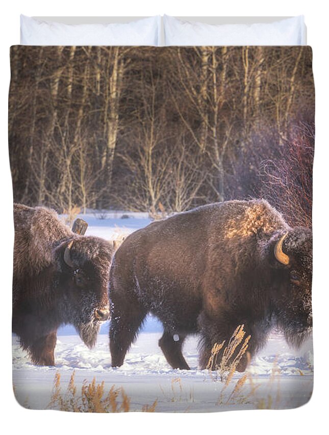 Bison Duvet Cover featuring the photograph Let's Go by Darren White