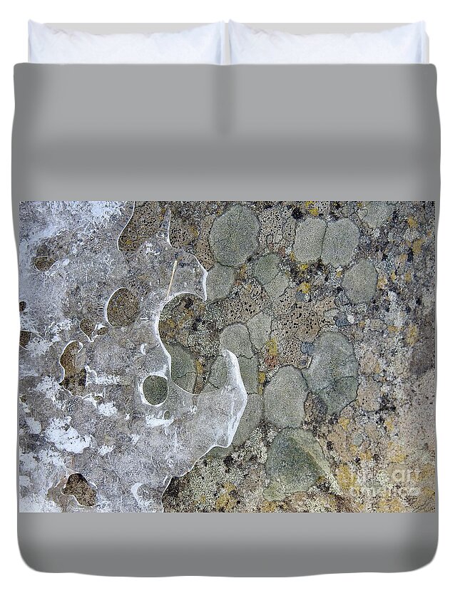 Lichen Duvet Cover featuring the photograph Lichen and Ice by Nicola Finch
