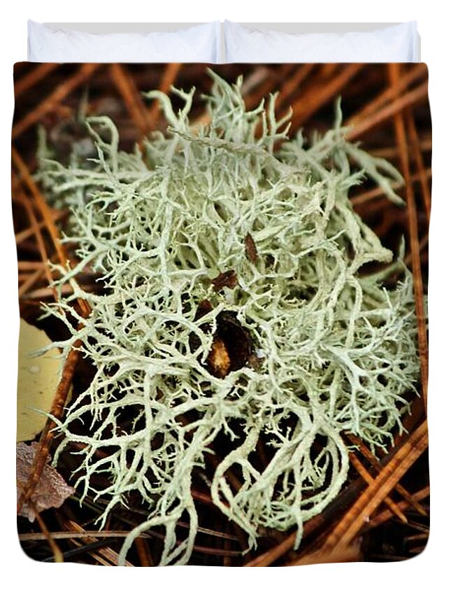 Lichen Duvet Cover featuring the photograph Lichen and Needles by Ann E Robson
