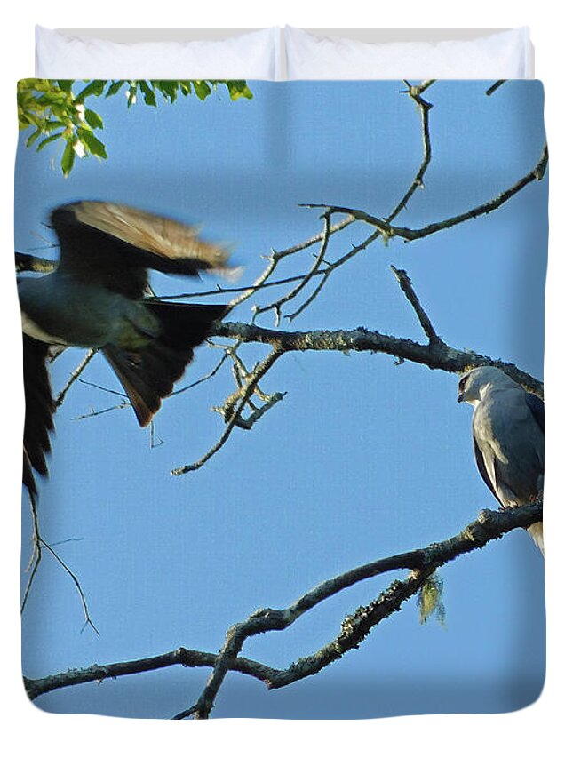 Bird Duvet Cover featuring the photograph Lift Off by Carl Moore