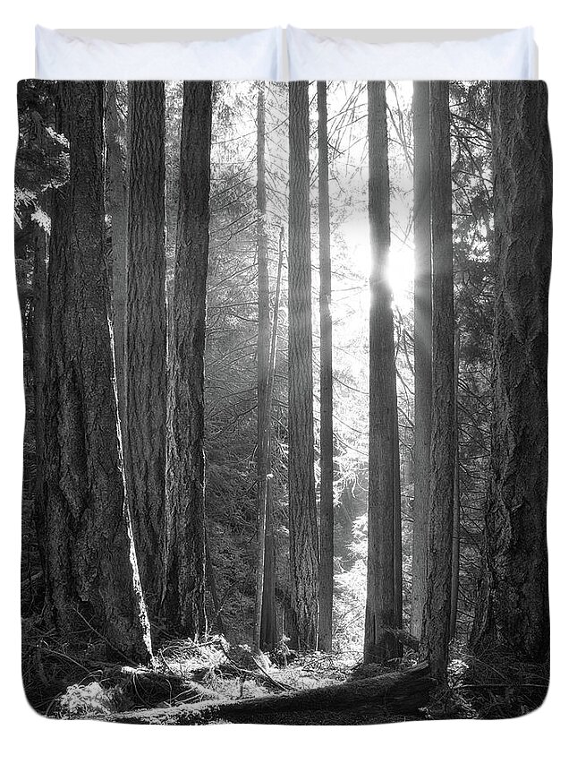 Landscape Duvet Cover featuring the photograph Light in the Old Growth Black and White by Allan Van Gasbeck