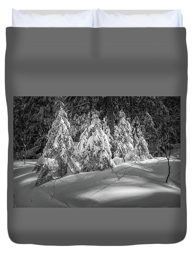 New Hampshire Duvet Cover featuring the photograph Light In The Winter Wood by Jeff Sinon
