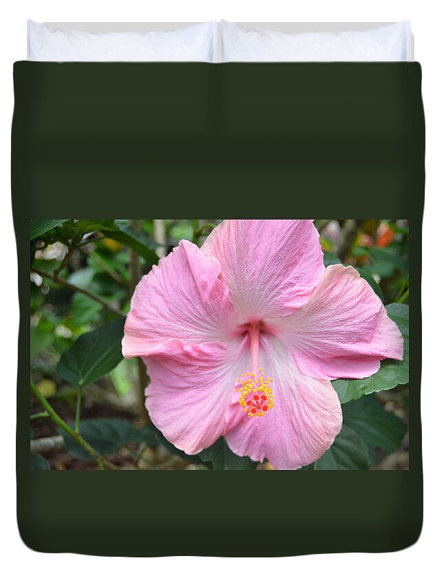 Flower Duvet Cover featuring the photograph Light Pink Hibiscus 2 by Amy Fose