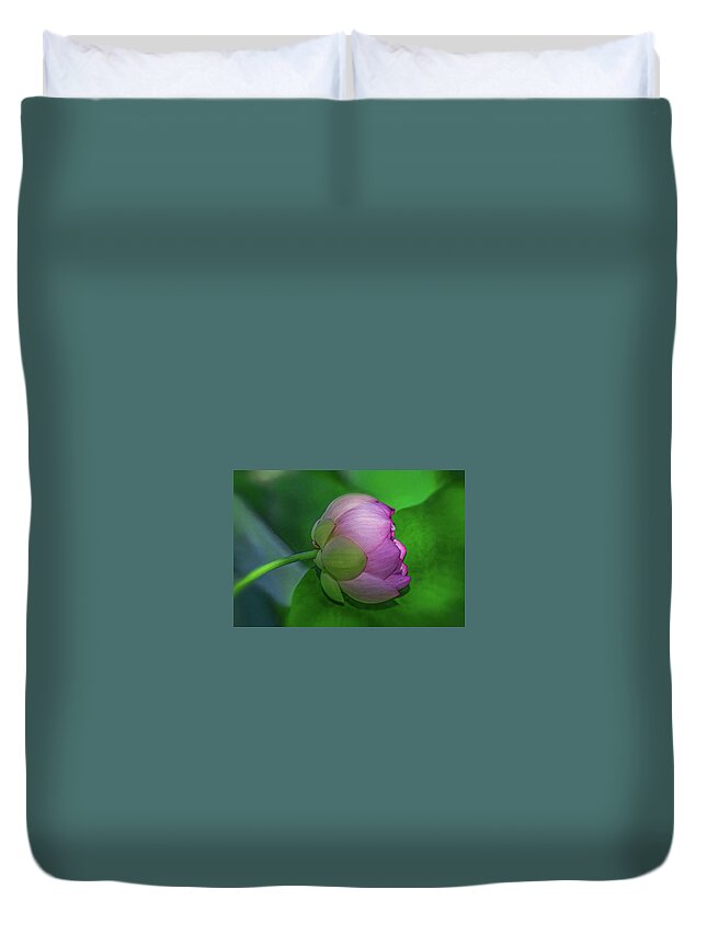 Lotus Flower Duvet Cover featuring the photograph Lighting Lotus by Kevin Lane