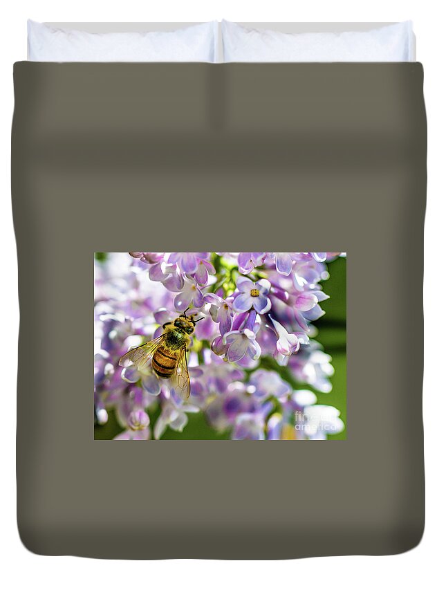 Lilac Duvet Cover featuring the photograph Lilac Bee by Darcy Dietrich