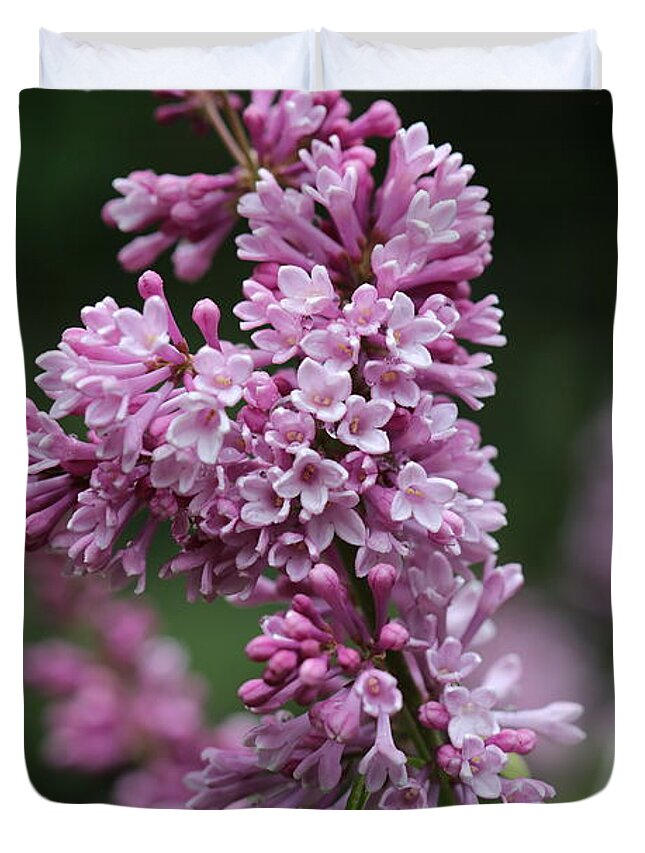 Shrub Duvet Cover featuring the photograph Lilac by Tammy Pool