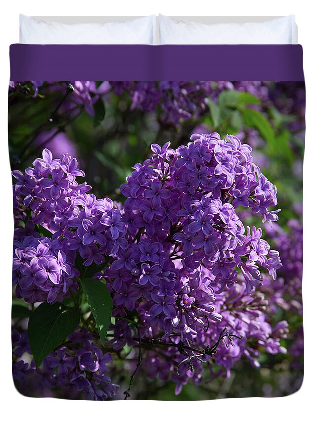 Flowers Duvet Cover featuring the photograph Lilacs at Highland Park by Flinn Hackett