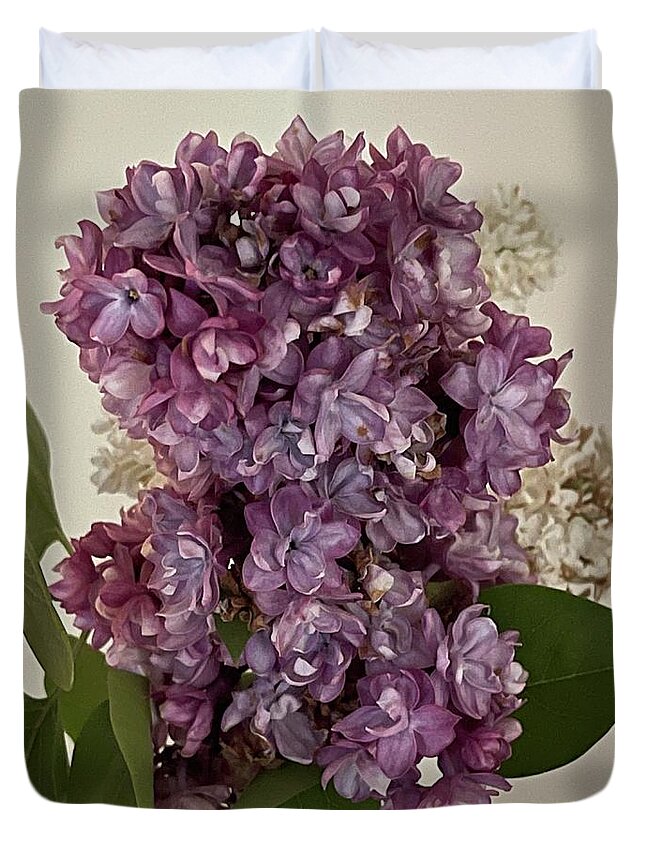 Lilacs Duvet Cover featuring the photograph Lilacs by Lisa White
