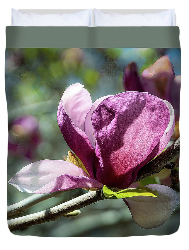 Lily Magnolia Tree Duvet Cover featuring the photograph Lily Magnolia by Cheri Freeman
