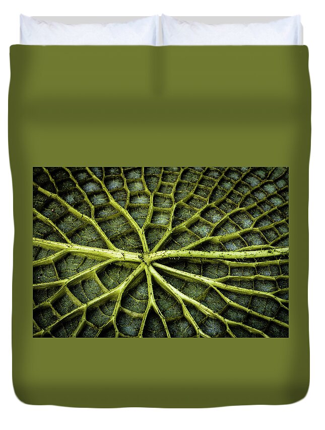 Italy Duvet Cover featuring the photograph Lily pad leaf by Craig A Walker