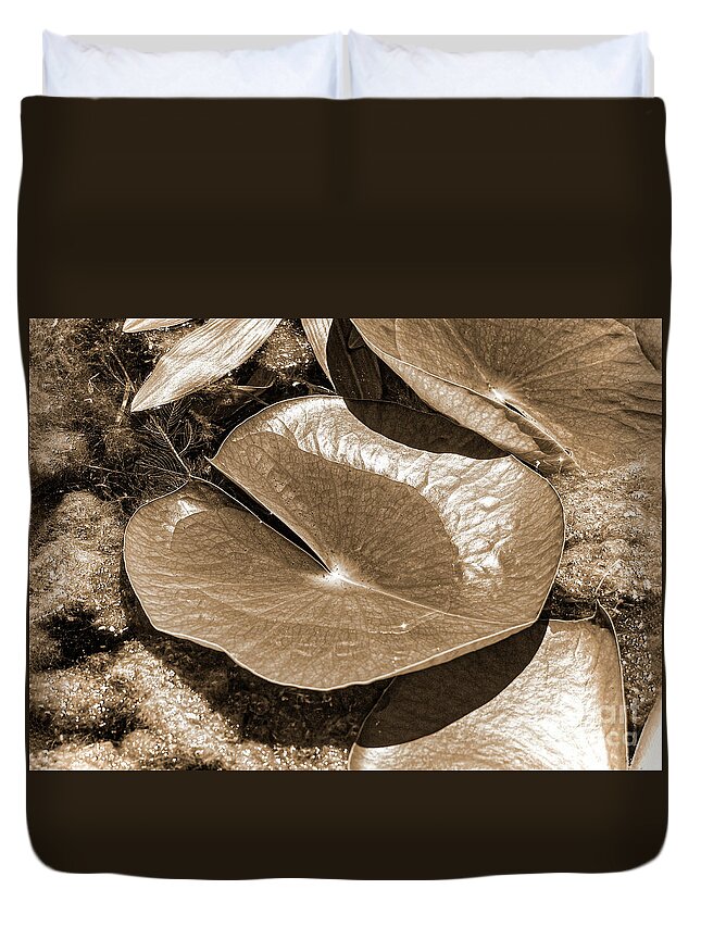 Water Duvet Cover featuring the digital art Lily Pad - Monochromatic by Anthony Ellis
