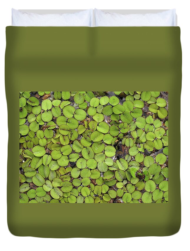 Lily Pads Duvet Cover featuring the photograph Lily Pads in Marsh on Lake Catemaco by Lorena Cassady
