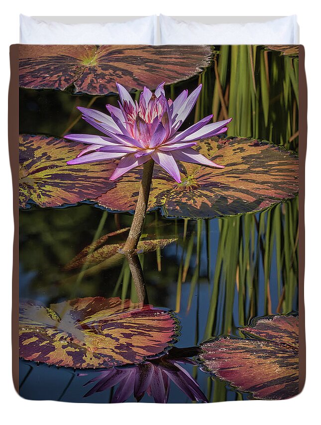 Tropical Lily Pamela Duvet Cover featuring the photograph Lily Pamela by Jurgen Lorenzen