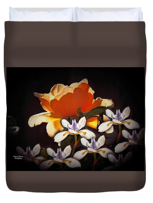 Digital Painting Duvet Cover featuring the photograph Lily Rose Digital Painting by Richard Thomas