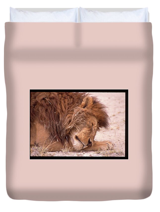 Africa Duvet Cover featuring the photograph Lion King Sleeping by Russel Considine