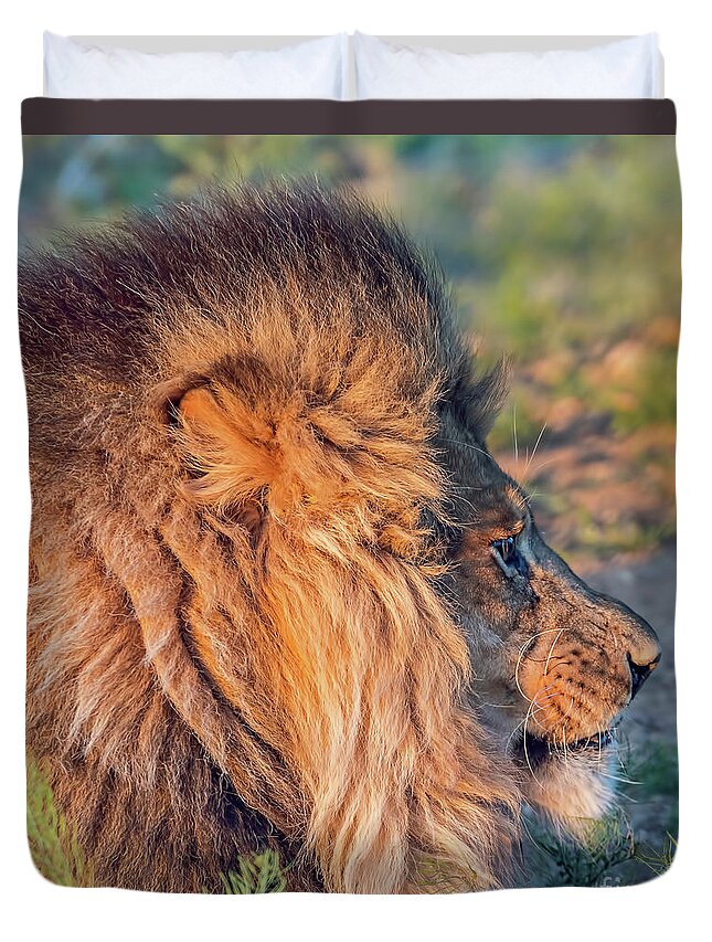 Wildlife Duvet Cover featuring the photograph Lion Profile by Tom Watkins PVminer pixs