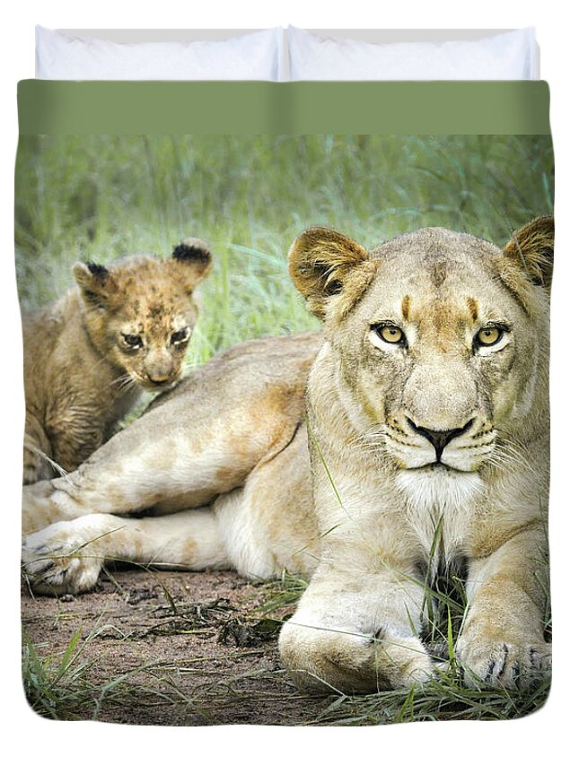 Lioness And Cub Duvet Cover featuring the photograph Lioness and Cub 1 by Rebecca Herranen