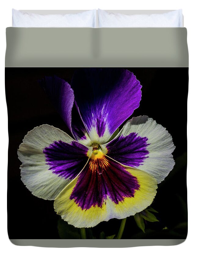 Pansy Duvet Cover featuring the photograph Lit Up Pansy by Doug Scrima