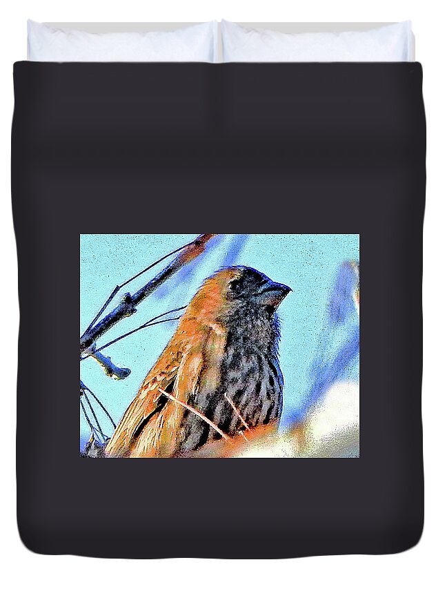 Bird Duvet Cover featuring the photograph Little Birdy by Andrew Lawrence