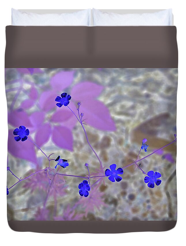 Flower Duvet Cover featuring the photograph Dainty Blue Flowers by Missy Joy
