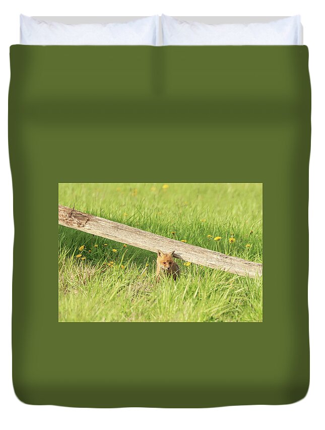 Carrie Ann Grippo-pike Duvet Cover featuring the photograph Little Fox in the Grass by Carrie Ann Grippo-Pike