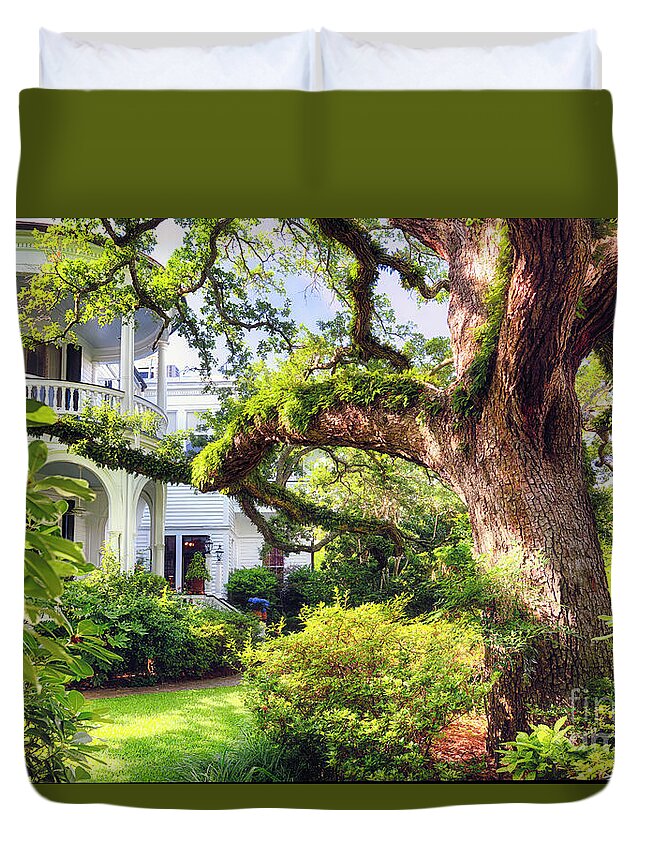  Duvet Cover featuring the photograph Live Oak Tree in a Villa Garden, Historic District, Charleston, by George Oze