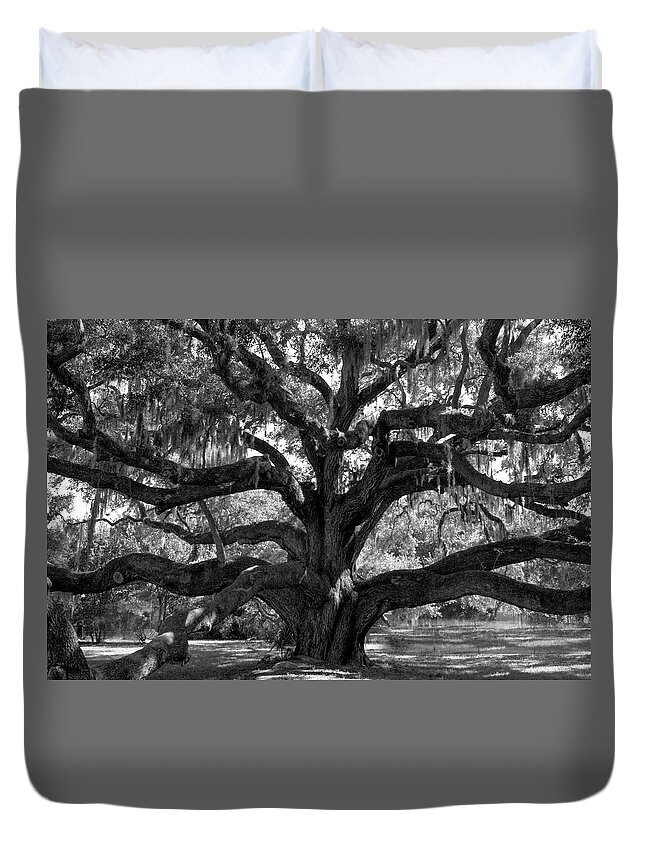America Duvet Cover featuring the photograph Live Oak Tree in Black and White by James C Richardson