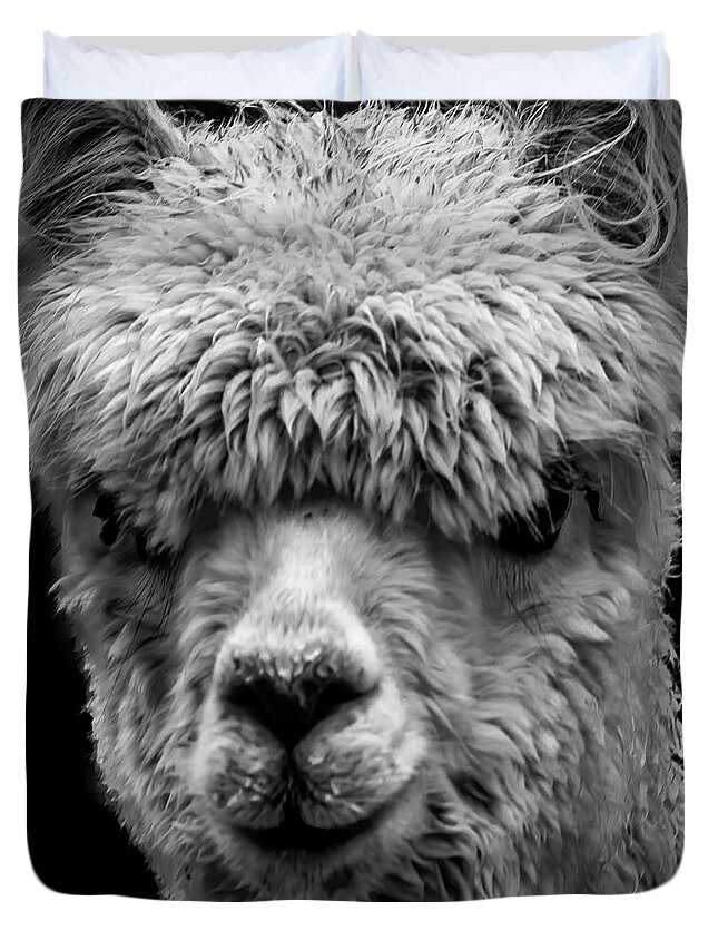 Llama Duvet Cover featuring the photograph Llama by Andrew Dickman