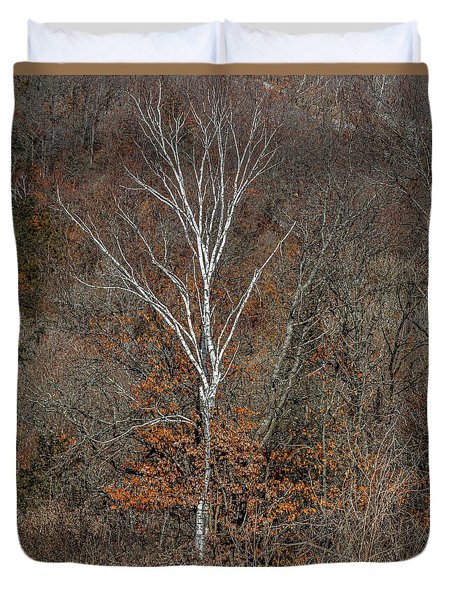 Nature Duvet Cover featuring the photograph Lone Birch by Kevin Argue