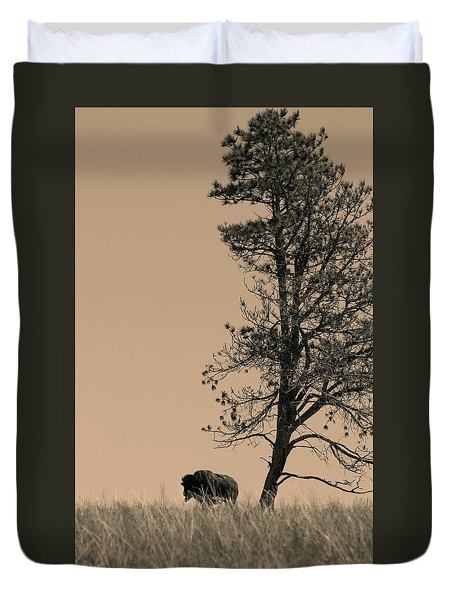 Bison Duvet Cover featuring the photograph Lone Bison by Larry Bohlin