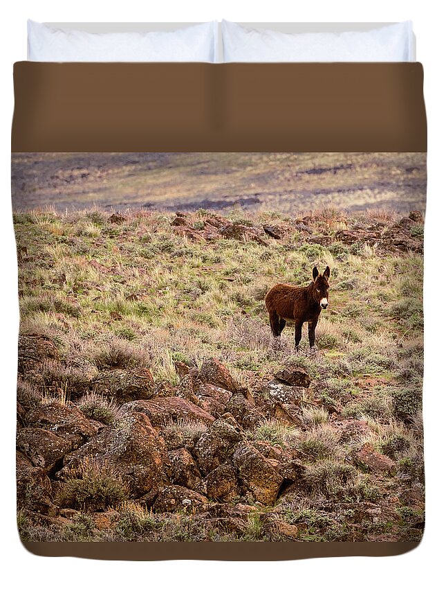 Lassen Duvet Cover featuring the photograph Lone Burro in the Desert by Mike Lee