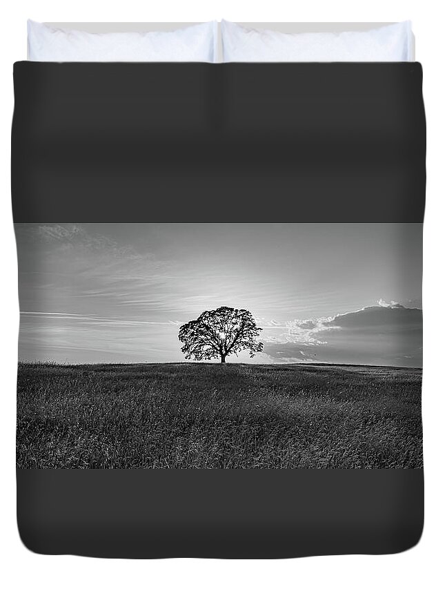 Black And White Duvet Cover featuring the photograph Lone Tree by Mike Ronnebeck