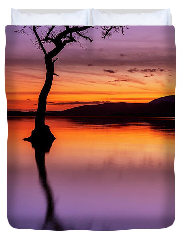Loch Lomond Duvet Cover featuring the photograph Lone tree reflections at Milarrochy Bay, Loch Lomond, Scotland by Neale And Judith Clark