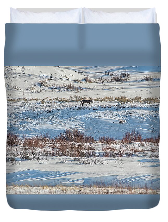 Wyoming Duvet Cover featuring the photograph Lone Wolf Landscape, Yellowstone National Park by Marcy Wielfaert