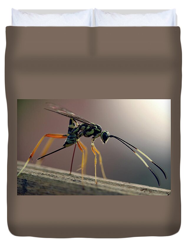Insects Duvet Cover featuring the photograph Long Legged Alien by Jennifer Robin