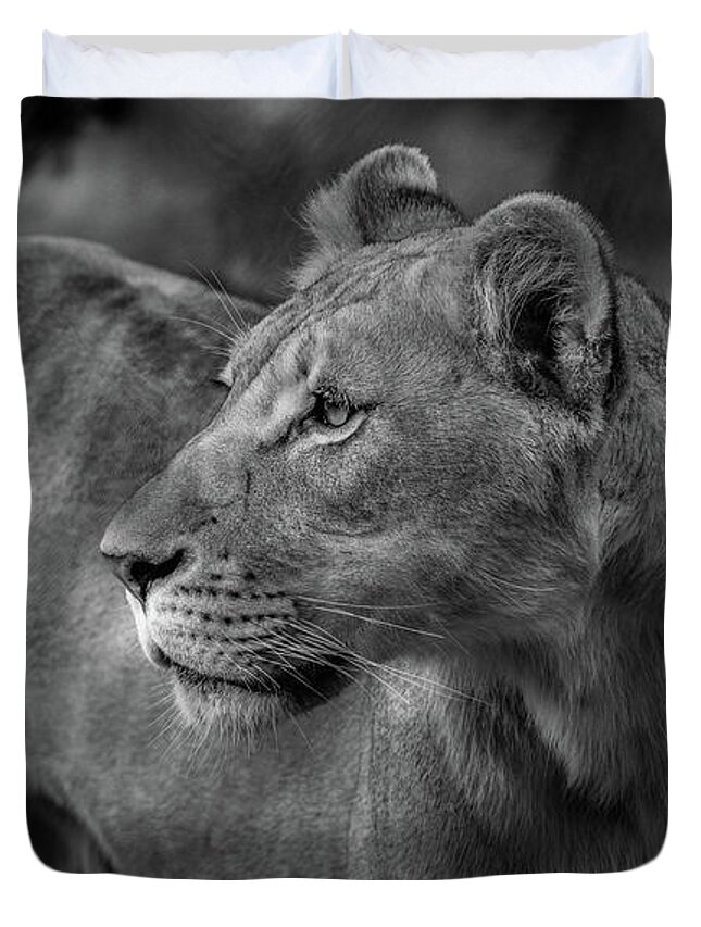 Lion Duvet Cover featuring the photograph Long Wait by Dheeraj Mutha
