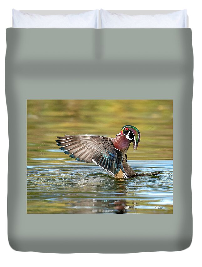 Wood Duck Duvet Cover featuring the photograph Look at Me -- Wood Duck by Judi Dressler