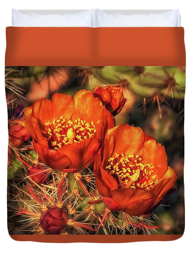 Arizona Duvet Cover featuring the photograph Look But Don't Touch by Rick Furmanek