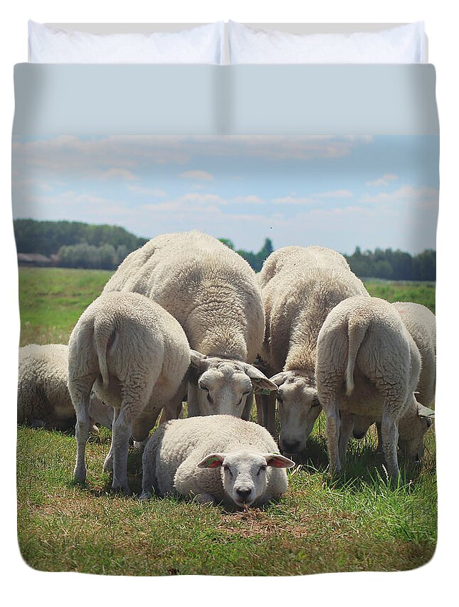Sheep Duvet Cover featuring the photograph Looking for me sheep by MPhotographer
