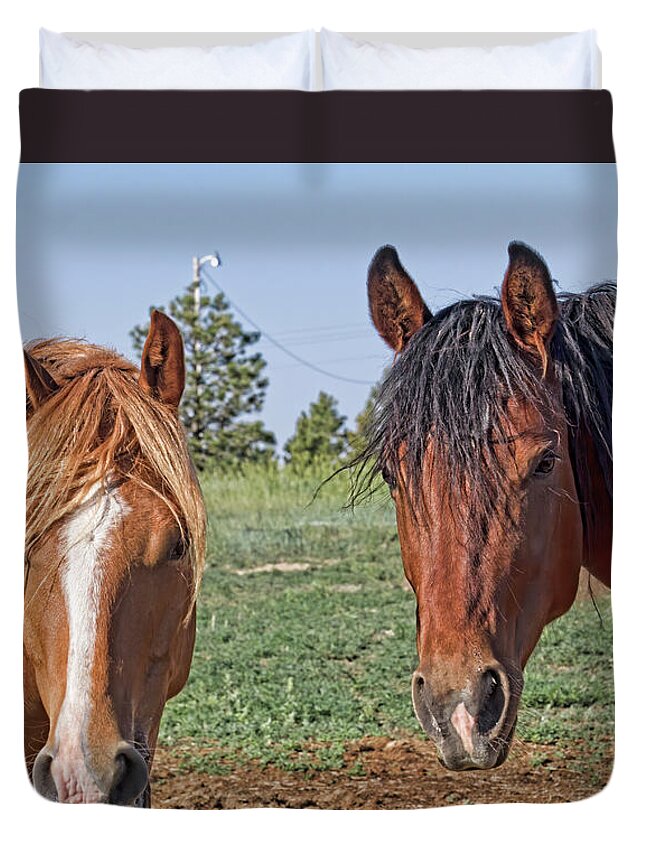 Horse Duvet Cover featuring the photograph Looking for Trouble by Alana Thrower