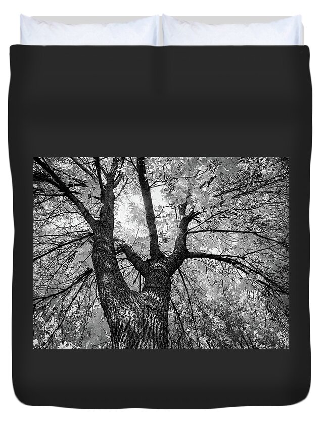 Landscape Duvet Cover featuring the photograph Looking Up by Susie Loechler