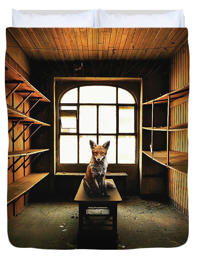 Light Nature Animal Building Old Window Fox Dirty Lost Abandoned Duvet Cover featuring the digital art Lost Animals - Series nr.9 by Zoltan Toth