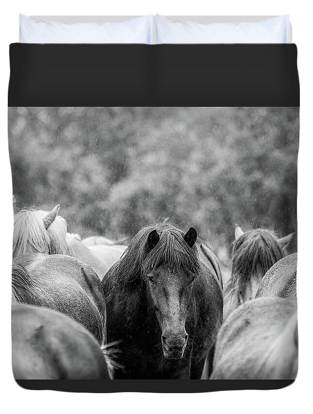 Photographs Duvet Cover featuring the photograph Lost in a crowd II - Horse Art by Lisa Saint