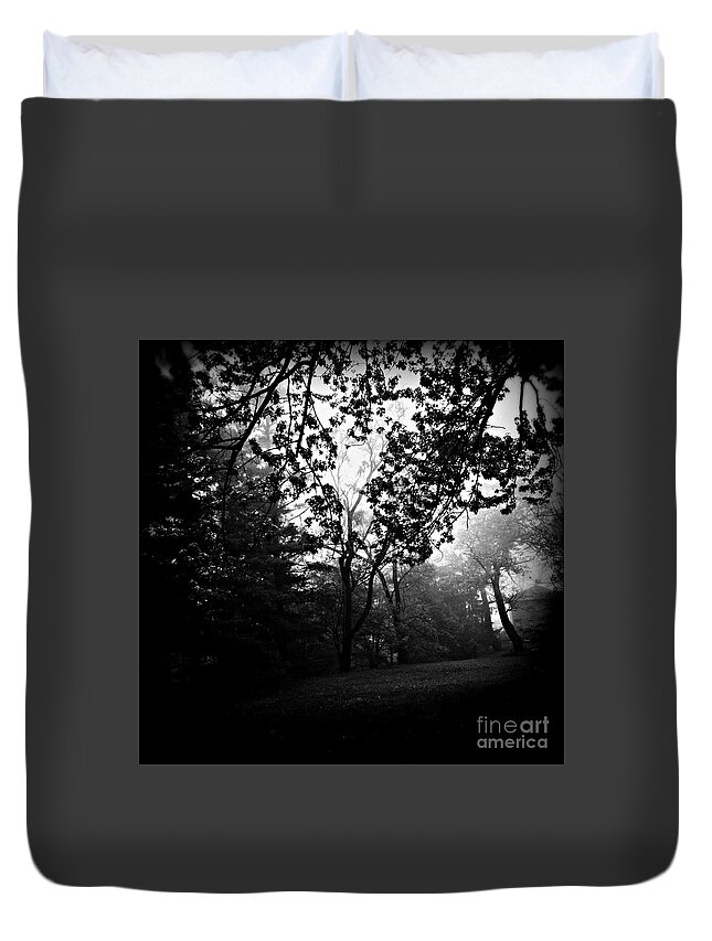 Nature Duvet Cover featuring the photograph Lost in the Fog by Frank J Casella